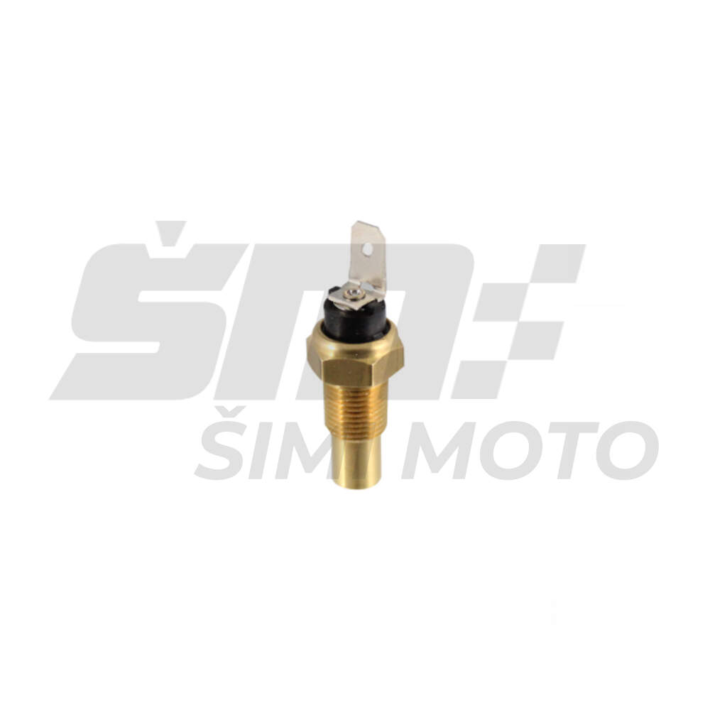 Cylinder head temperature sensor Suzuki Burgman 250/ 400cc 98-02 (m10x0,9mm cone) RMS