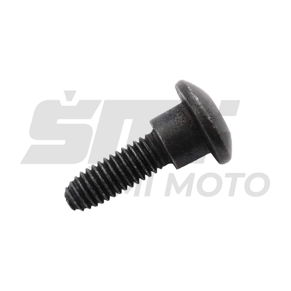 Screw for plastic of the scooter m6 L 25mm Piaggio RMS